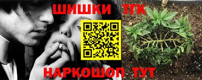 прущая мука Кингисепп