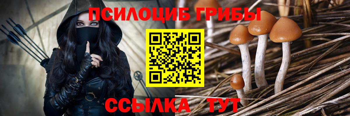 Тула  Конопля  Меф МЯУ МЯУ кристаллы  Вейп ТГК  Вход с VPN  ГАШИШ  КОКАИН  ГАШ  МЕТАДОН 
