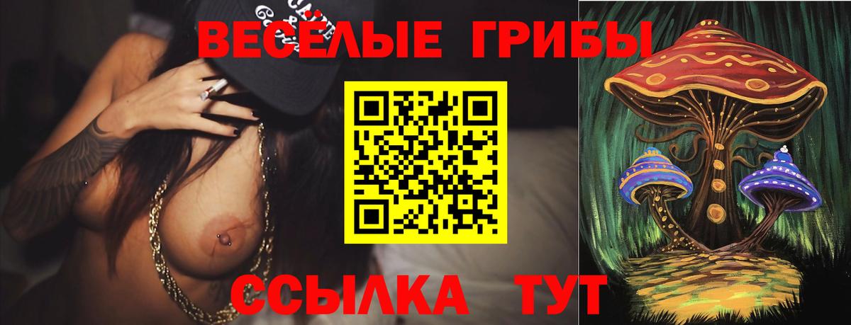 Псилоцибиновые грибы MAGIC MUSHROOMS  Вход с VPN  купить  цена  Тула 